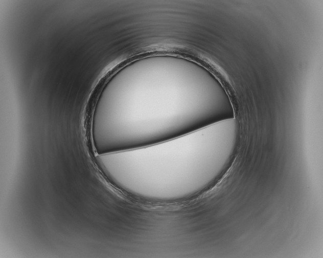 X0000116841026200912181110