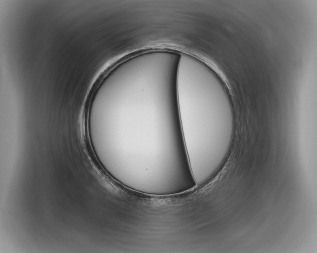 X0000116841032200912181110
