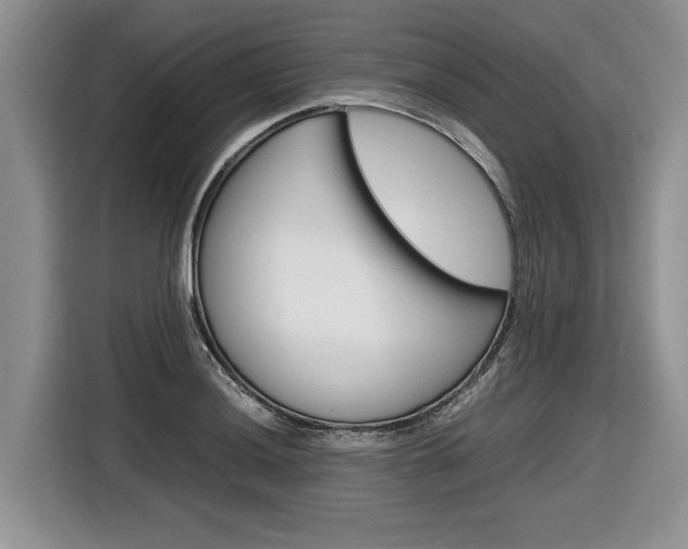 X0000116841036200912181110