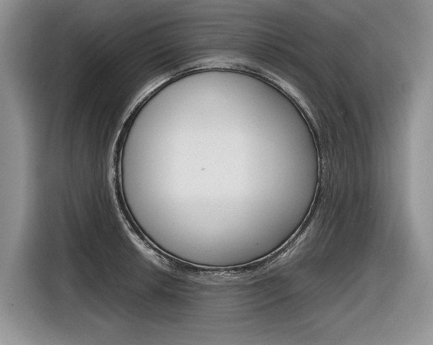 X0000116841042200912181110