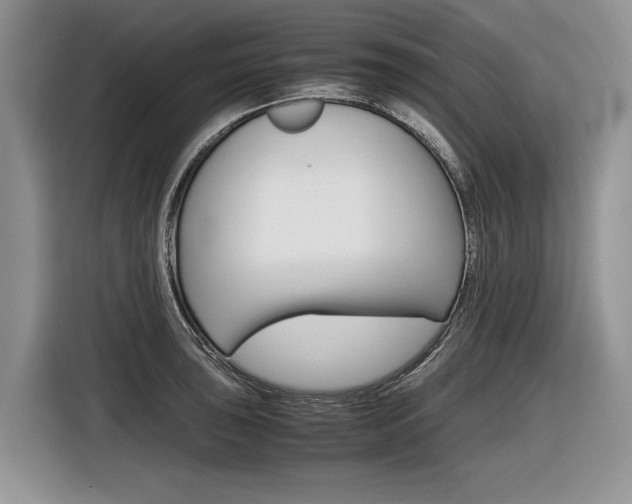 X0000116841043200912181110