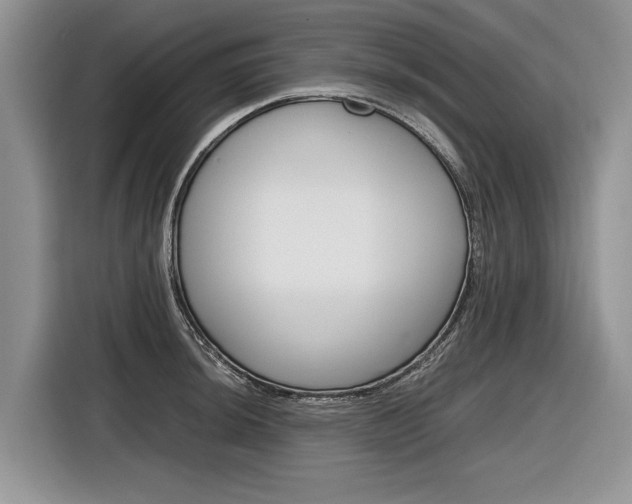 X0000116841044200912181110