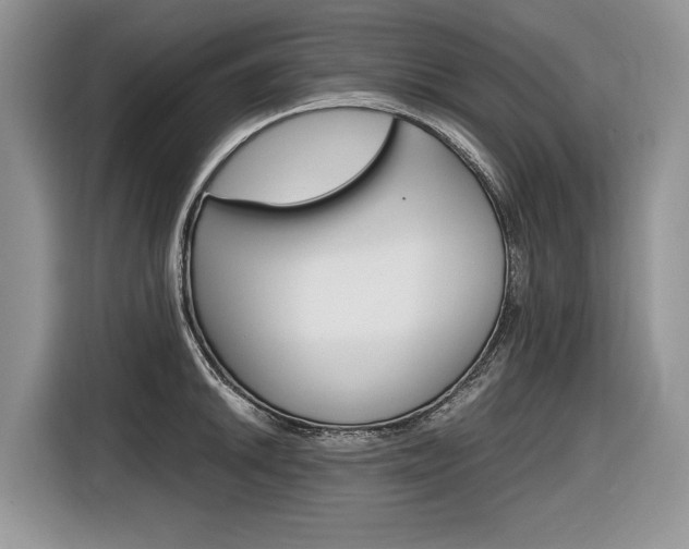 X0000116841046200912181110