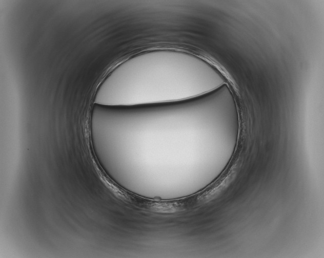 X0000116841049200912181110