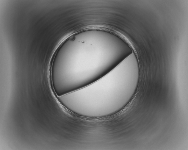 X0000116841050200912181110