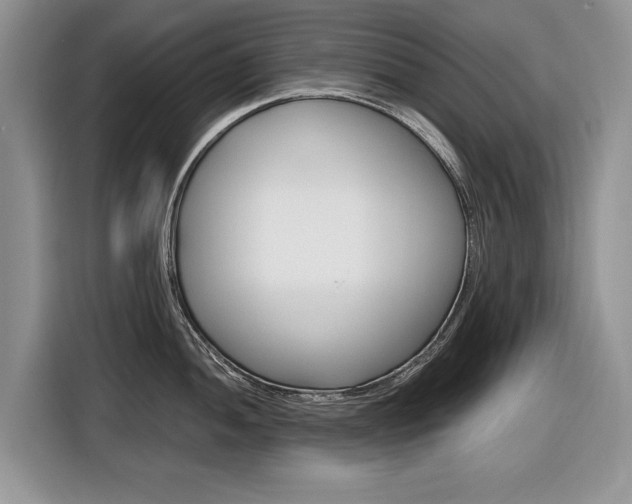 X0000116841052200912181110