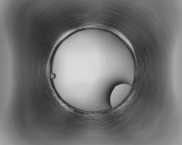 X0000116841053200912181110
