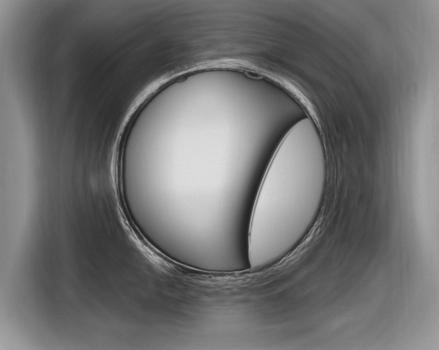 X0000116841054200912181110