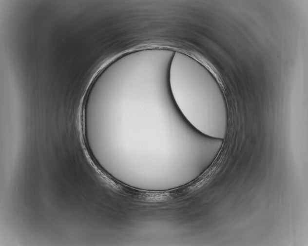 X0000116841055200912181110