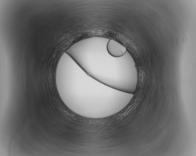X0000116841058200912181110