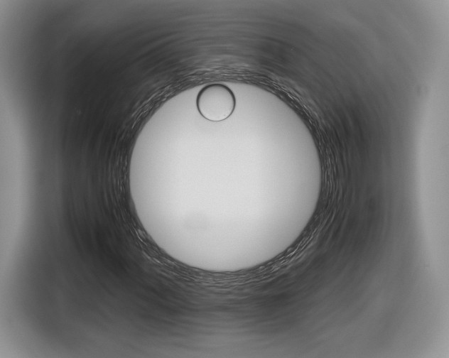 X0000116841060200912181110