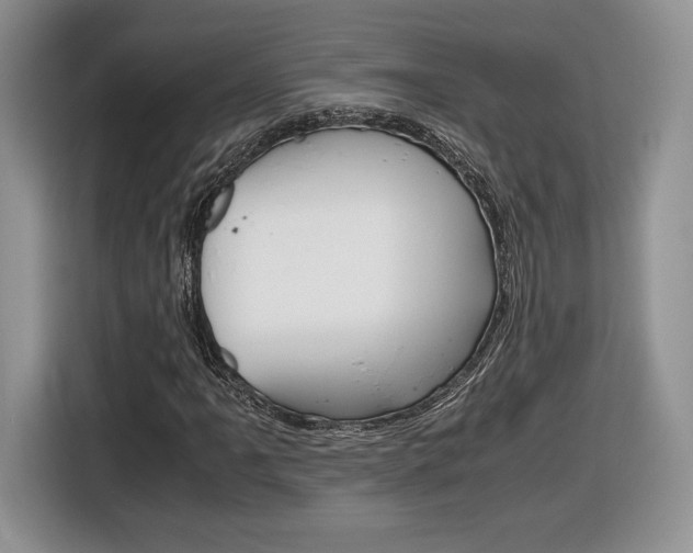 X0000116841061200912181110