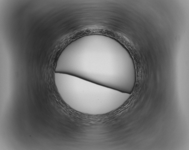X0000116841062200912181110