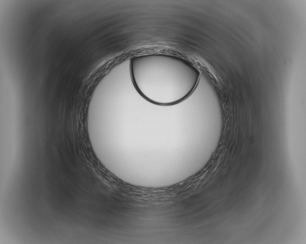 X0000116841064200912181110