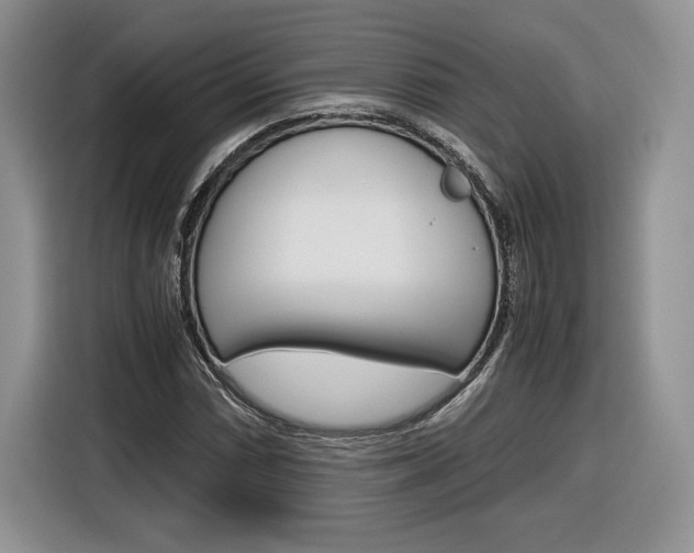X0000116841066200912181110