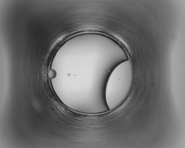 X0000116841067200912181110