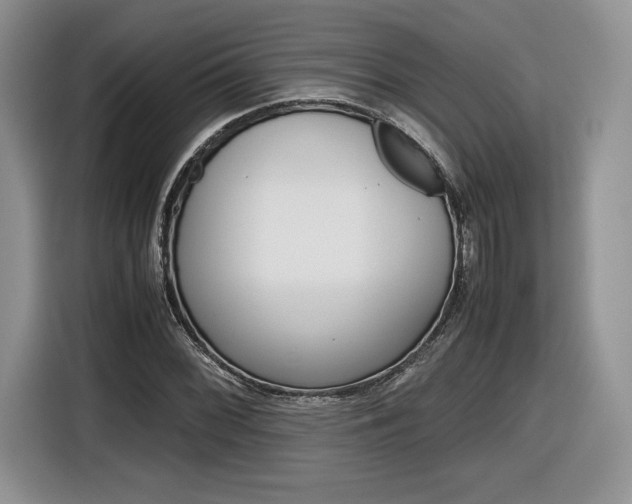 X0000116841068200912181110
