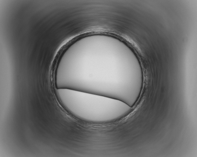 X0000116841070200912181110