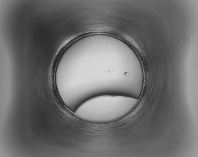 X0000116841071200912181110