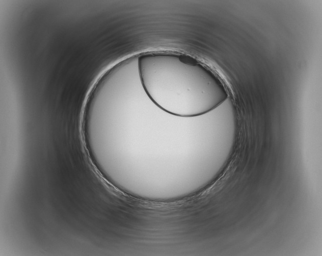 X0000116841072200912181110
