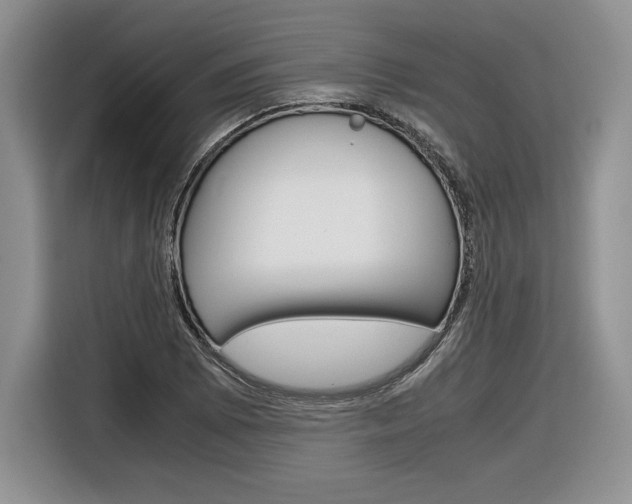 X0000116841073200912181110