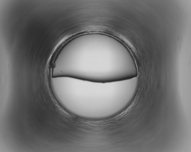 X0000116841075200912181110
