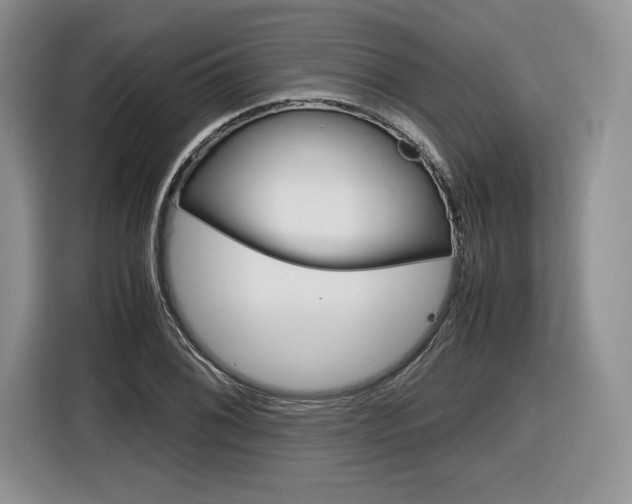 X0000116841076200912181110