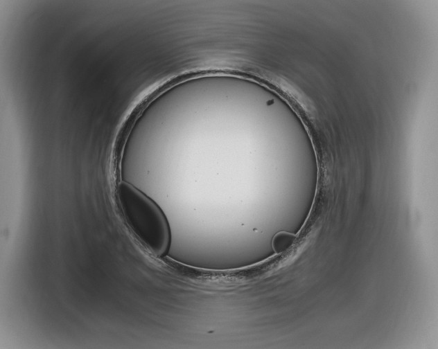 X0000116841077200912181110