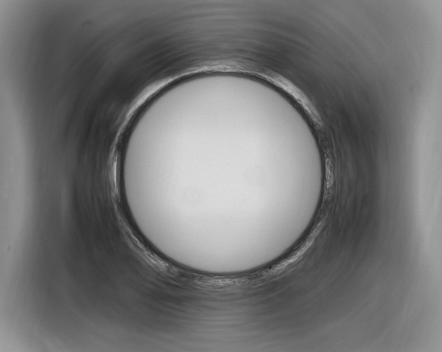 X0000116841078200912181110