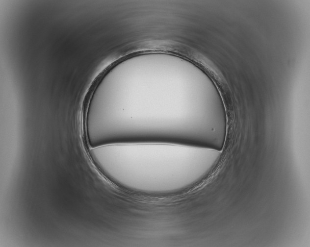 X0000116841079200912181110