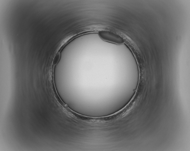 X0000116841081200912181109