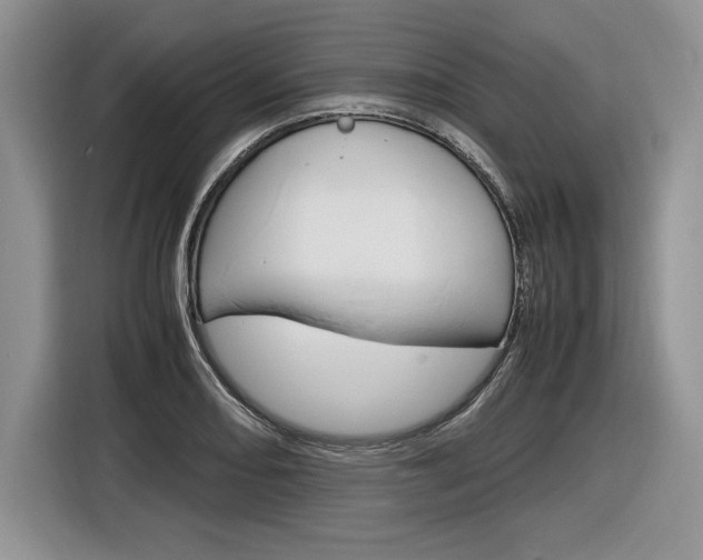X0000116841082200912181109