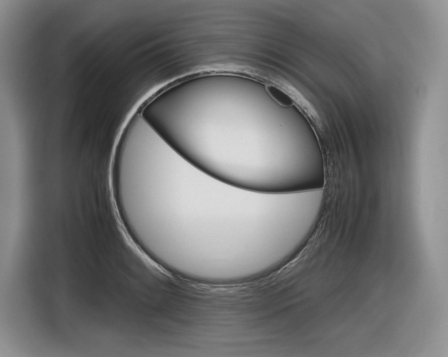 X0000116841084200912181109