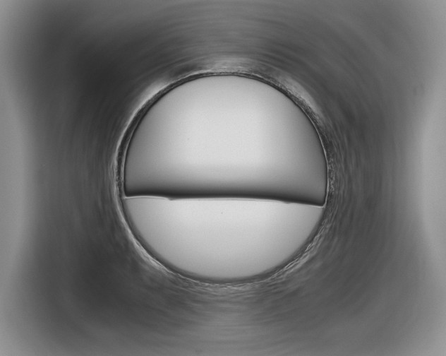 X0000116841087200912181109