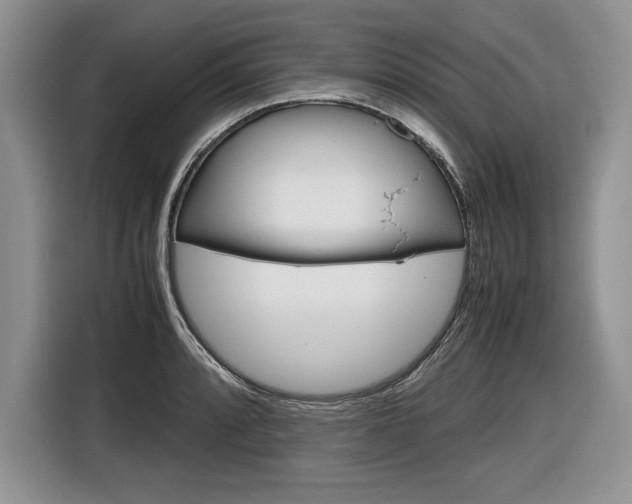 X0000116841088200912181109