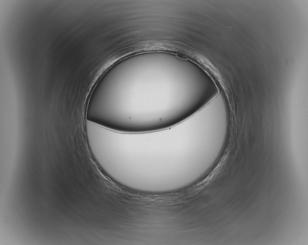 X0000116841089200912181109