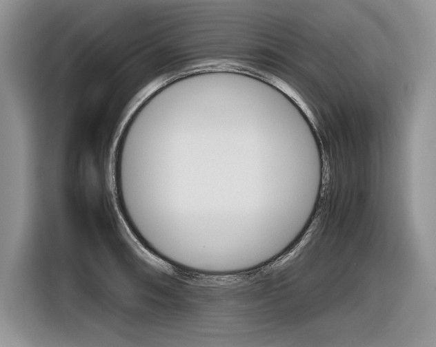 X0000116841090200912181109