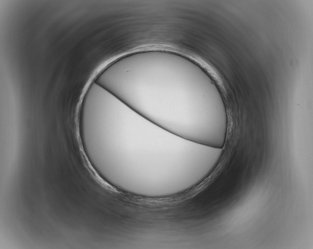 X0000116841102200912181109