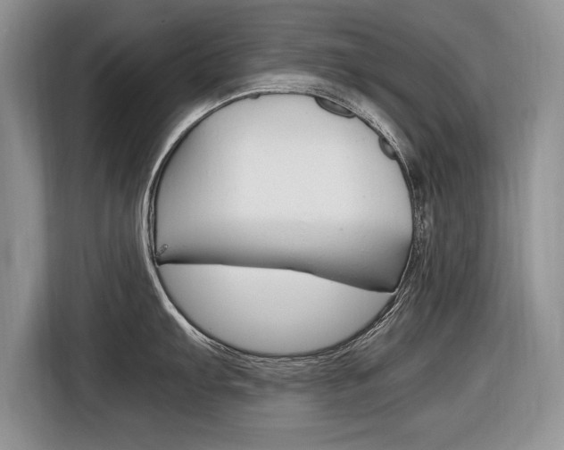 X0000116841103200912181109