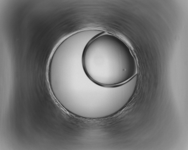 X0000116841104200912181109