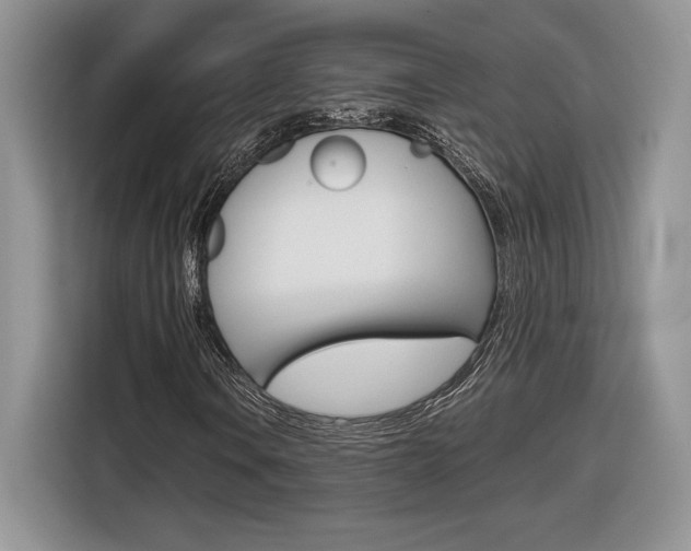X0000116841106200912181109