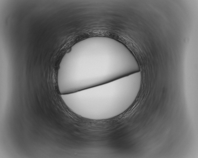 X0000116841107200912181109