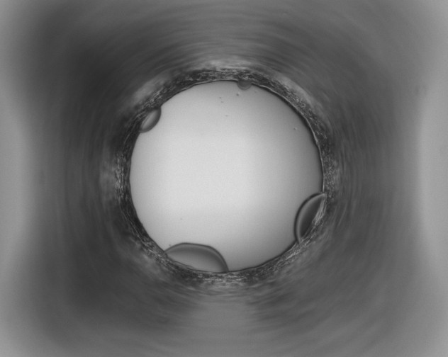 X0000116841110200912181109