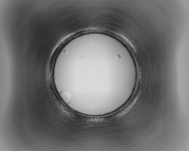 X0000116841117200912181109