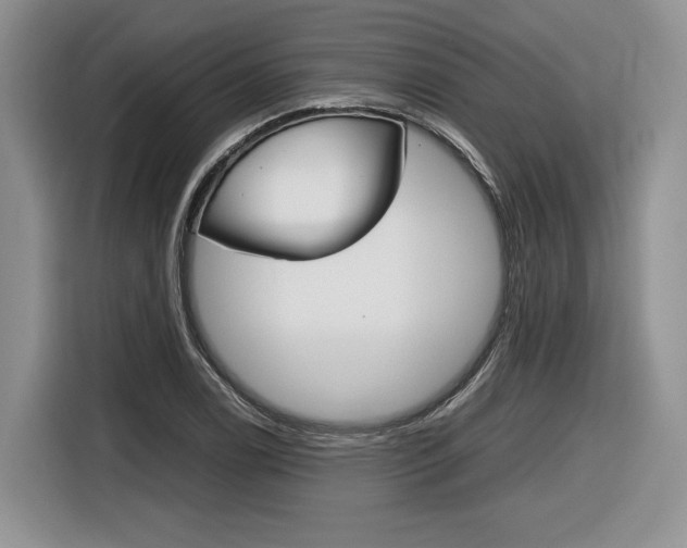 X0000116841122200912181109