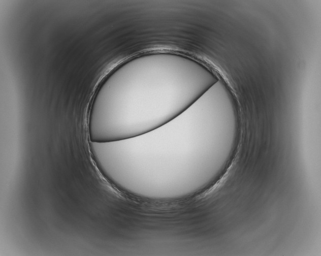 X0000116841129200912181109