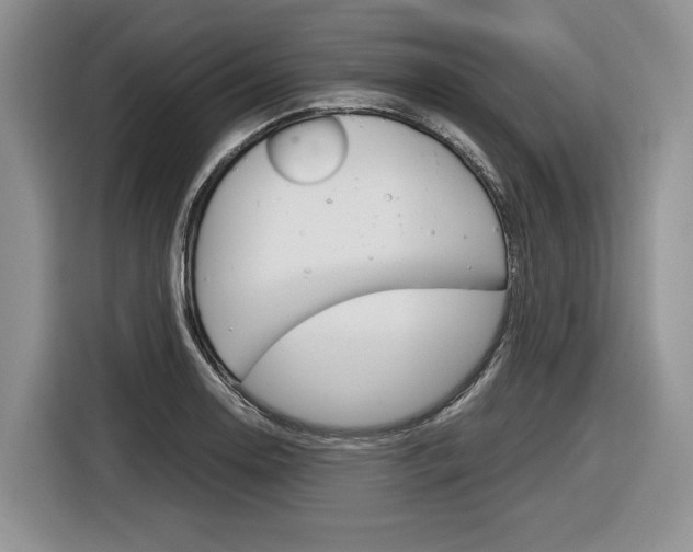 X0000116841130200912181109