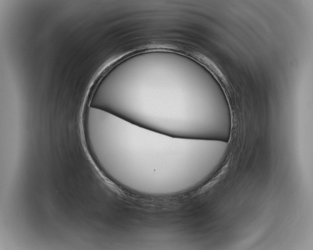 X0000116841133200912181109