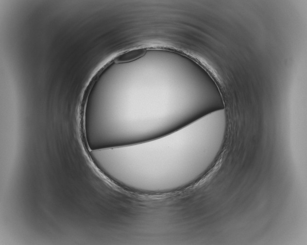 X0000116841134200912181109
