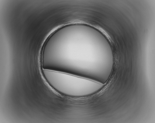 X0000116841142200912181109